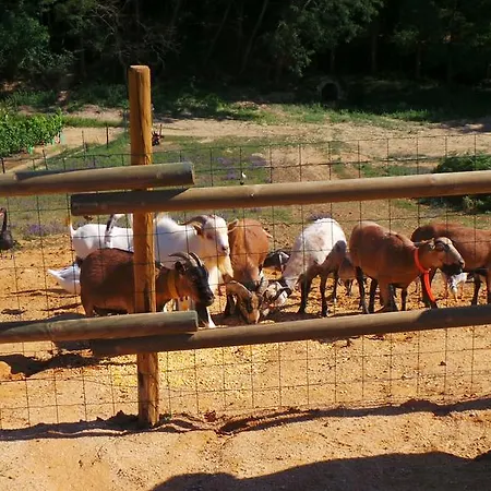 Retour Au Source Farm stay *