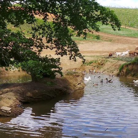 Retour Au Source Farm stay