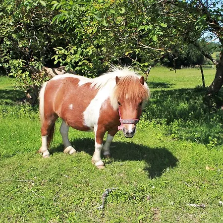 Retour Au Source Farm stay *