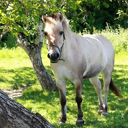 Retour Au Source Farm stay