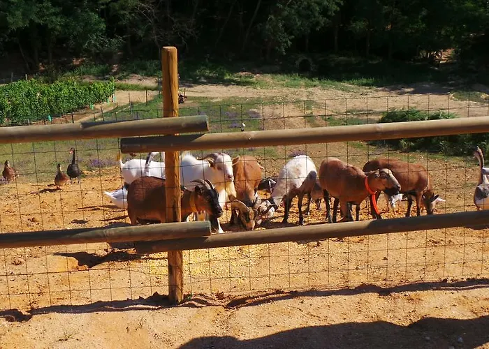 Retour Au Source Κατάλυμα σε φάρμα *