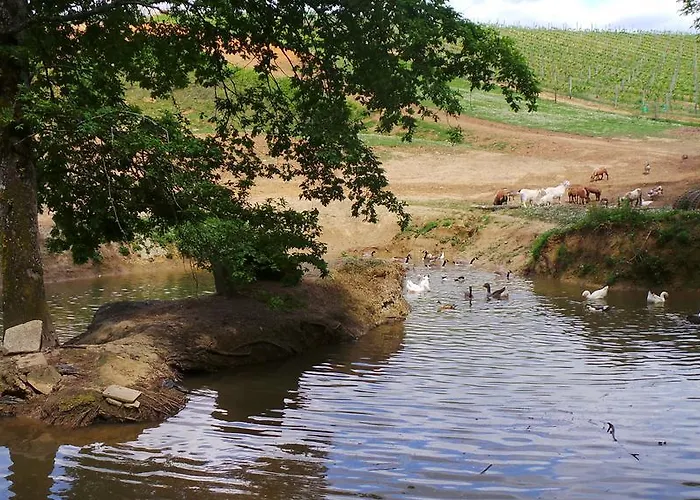 Retour Au Source Κατάλυμα σε φάρμα