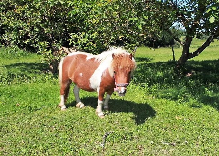 Retour Au Source Κατάλυμα σε φάρμα *