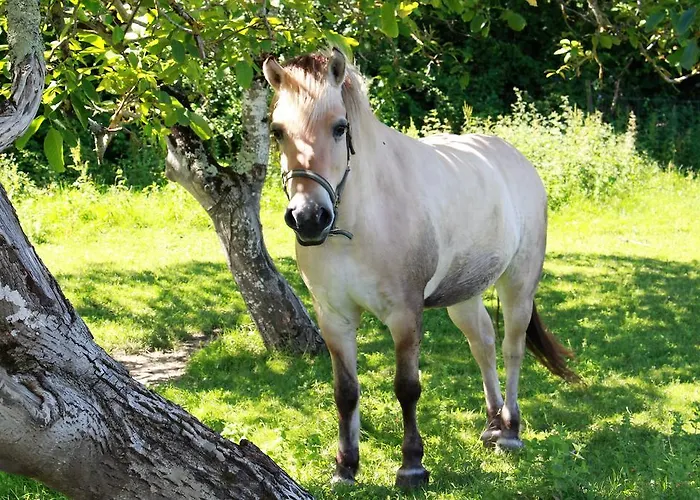 Retour Au Source Κατάλυμα σε φάρμα